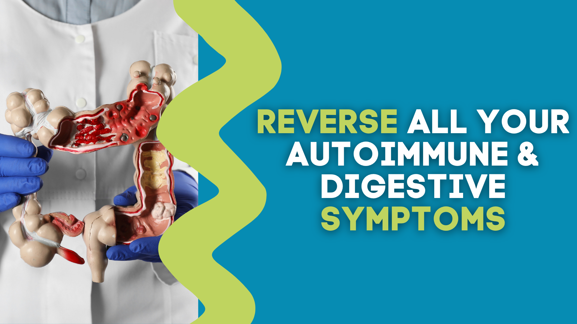 REVERSE ALL YOUR AUTOIMMUNE & DIGESTIVE SYMPTOMS The Gut Health Hub