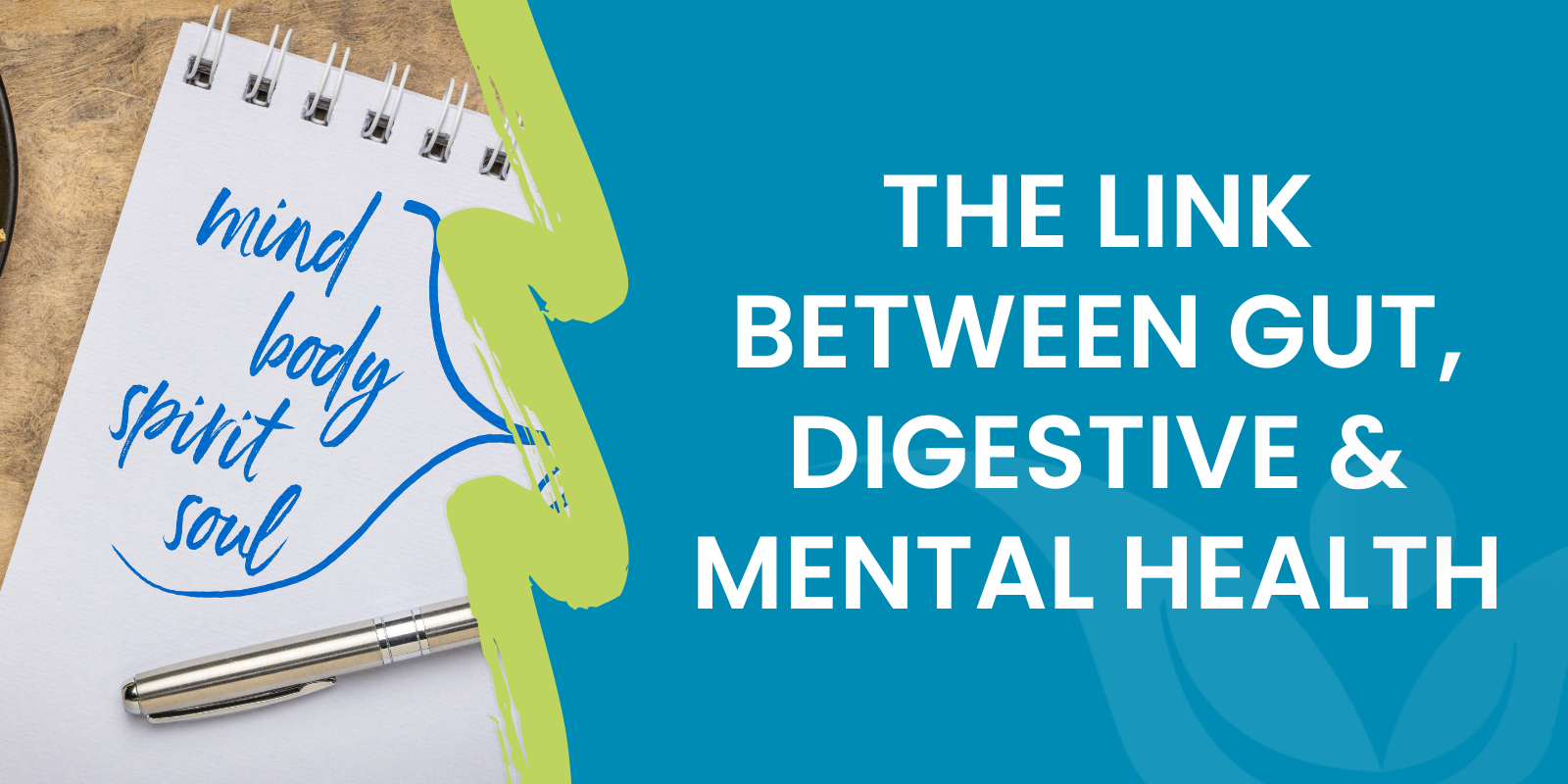 The Link Between Gut, Digestive & Mental Health – The Gut Health Hub