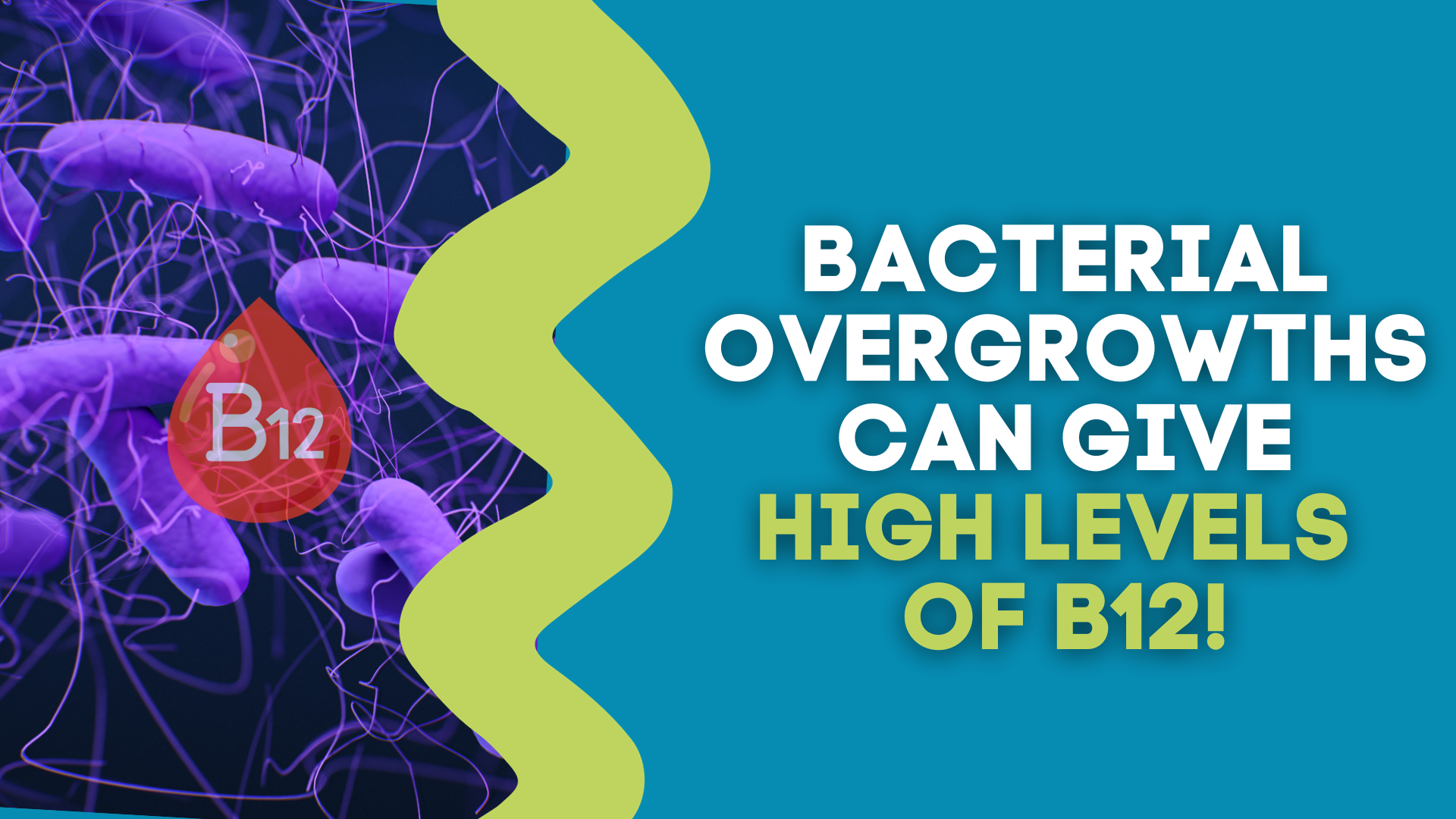 bacterial-overgrowths-can-give-high-levels-of-b12-the-gut-health-hub