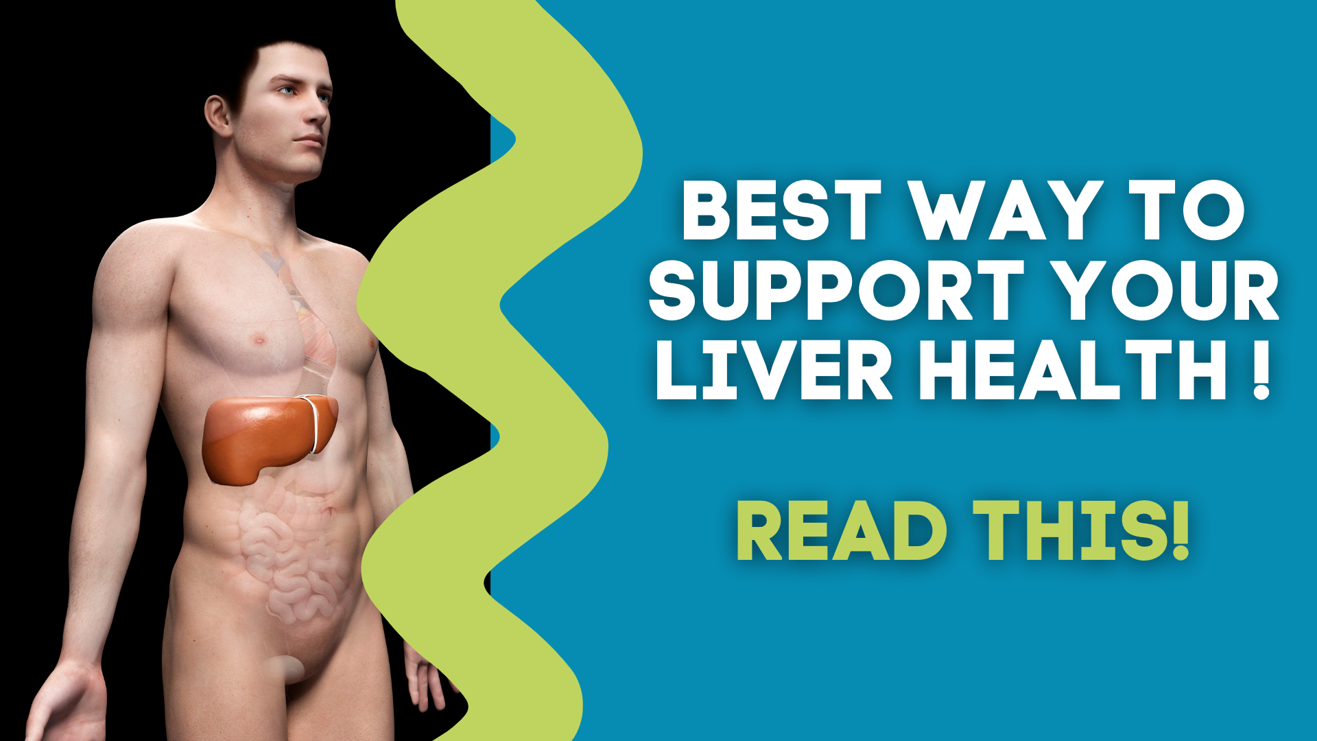 best-way-to-support-your-liver-health-the-gut-health-hub