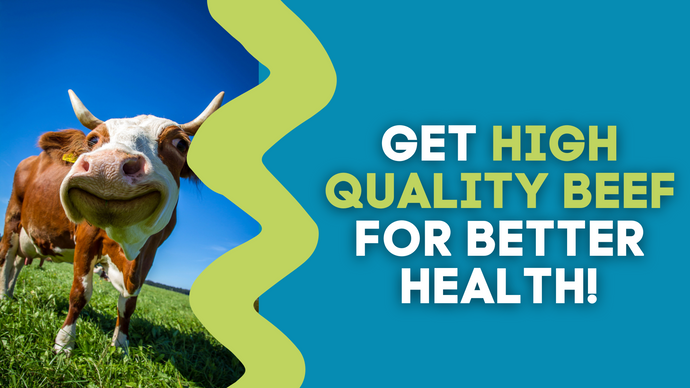 GET HIGH QUALITY BEEF FOR BETTER HEALTH!