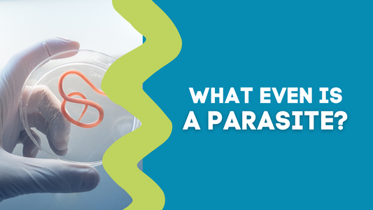 WHAT IS EVEN IS A PARASITE ?!?