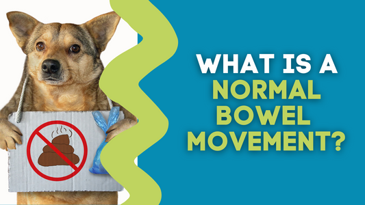 WHAT IS A NORMAL BOWEL MOVEMENT?