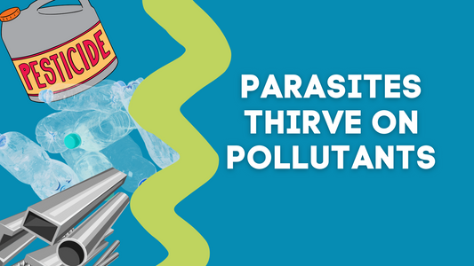 PARASITES THRIVE ON POLLUTANTS