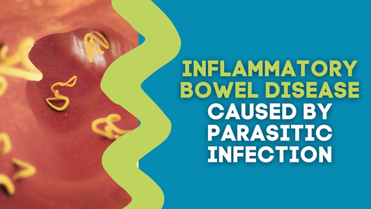 INFLAMMATORY BOWEL DISEASE CAUSED BY PARASITIC INFECTION