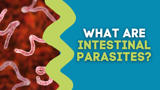 WHAT ARE INTESTINAL PARASITES?