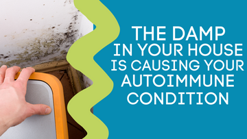 THE DAMP IN YOUR HOUSE IS CAUSING YOUR AUTOIMMUNE CONDITION