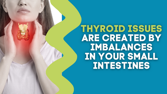 YOUR THYROID ISSUES ARE CREATED BY IMBALANCES IN YOUR SMALL INTESTINES