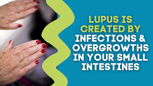 LUPUS IS CREATED BY INFECTIONS & OVERGROWTHS IN YOUR SMALL INTESTINES