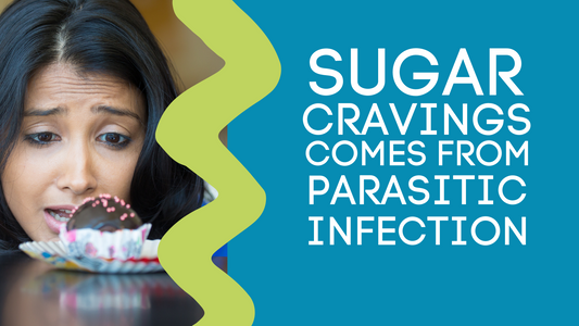 SUGAR CRAVINGS COME FROM PARASITIC INFECTION?