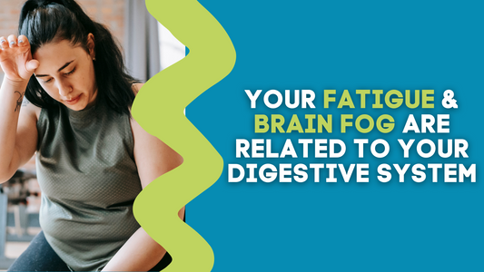 YOUR FATIGUE & BRAIN FOG ARE RELATED TO YOUR DIGESTIVE SYSTEM