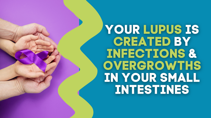 YOUR LUPUS IS CREATED BY INFECTIONS & OVERGROWTHS IN YOUR SMALL INTESTINES