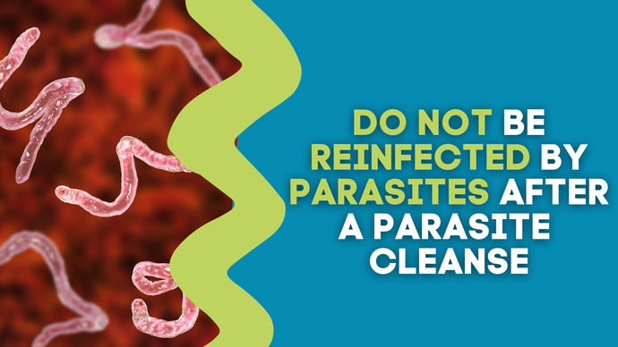 DO NOT BE REINFECTED BY PARASITES AFTER A PARASITE CLEANSE