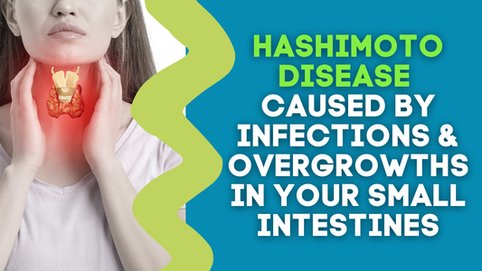 HASHIMOTO DISEASE CAUSED BY INFECTIONS & OVERGROWTHS IN YOUR SMALL INTESTINES